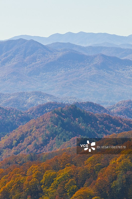 大雾山国家公园，印度夏季山谷的彩色树叶图片素材