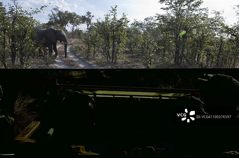 萨武蒂河道，林扬蒂，博茨瓦纳，非洲图片素材