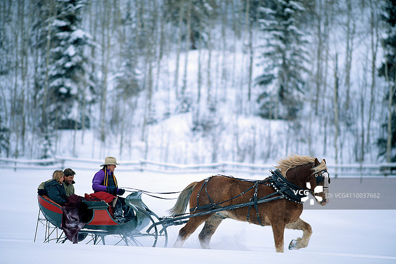 科罗拉多州阿斯彭的马拉雪橇情侣图片素材