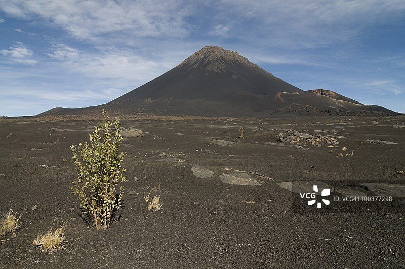 佛得角福戈火山前的灌木图片素材