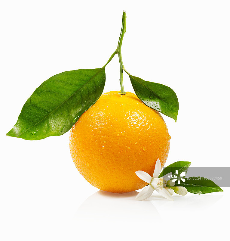橙子与树叶和花朵图片素材