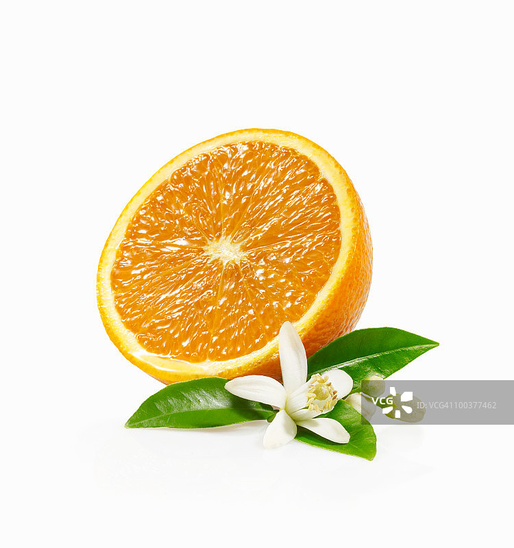 半个带花橙子图片素材