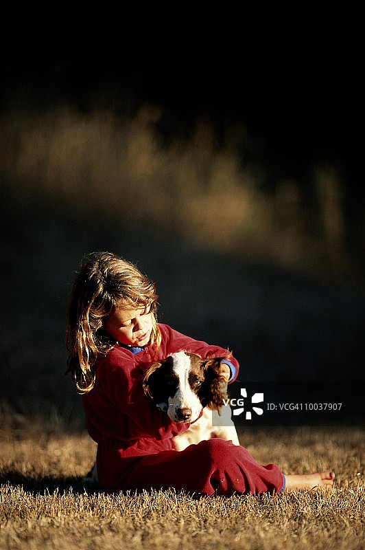 在加利福尼亚州与西班牙猎犬玩耍的8岁女孩图片素材