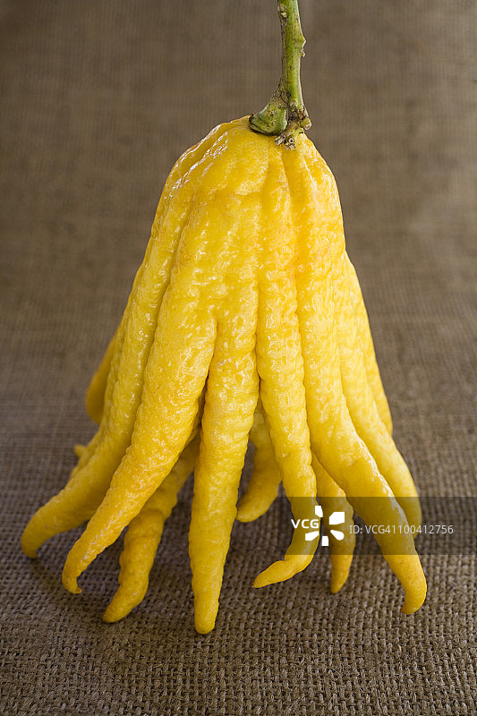 佛手柑图片素材