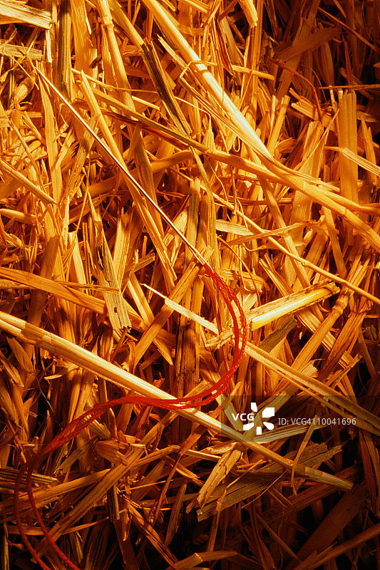 大海捞针图片素材