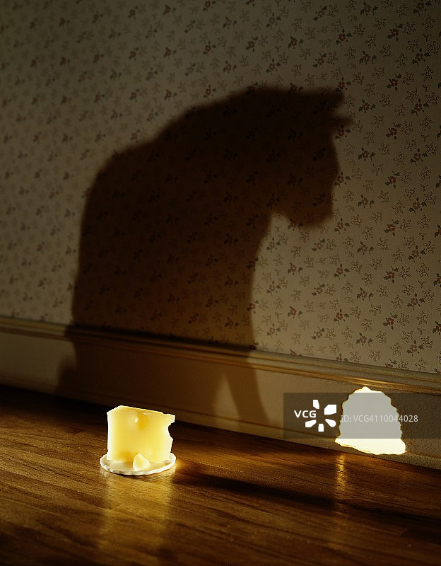 猫在鼠洞和奶酪上的影子图片素材