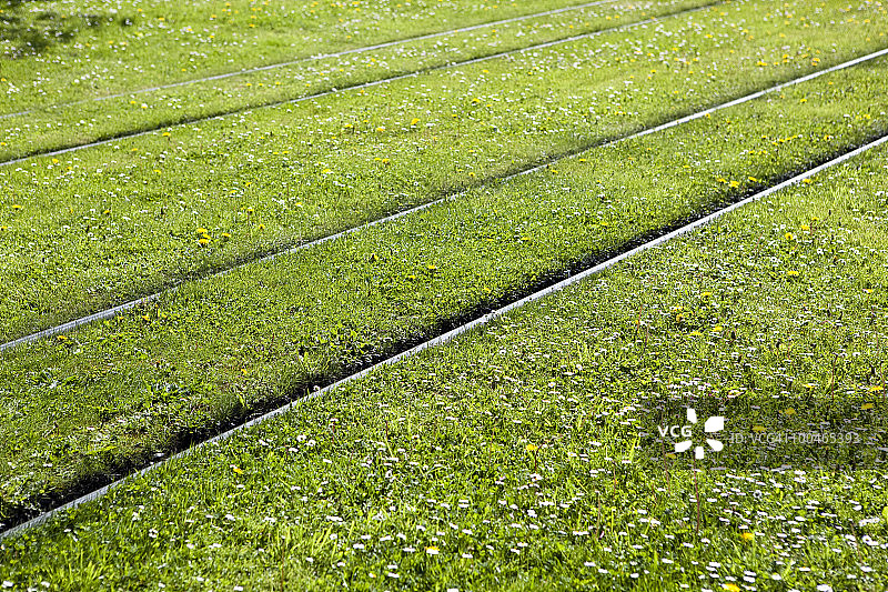 开花的有轨电车轨道图片素材