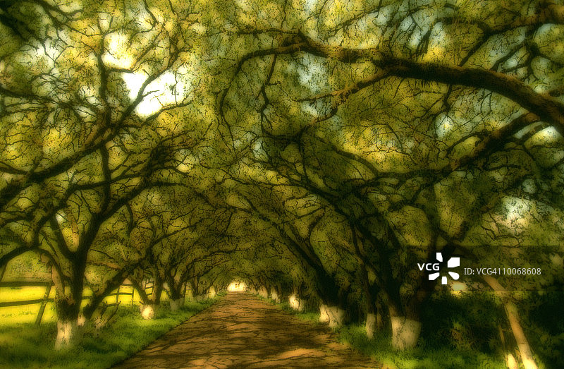 LA CIENEGA, LASSO, 厄瓜多尔图片素材