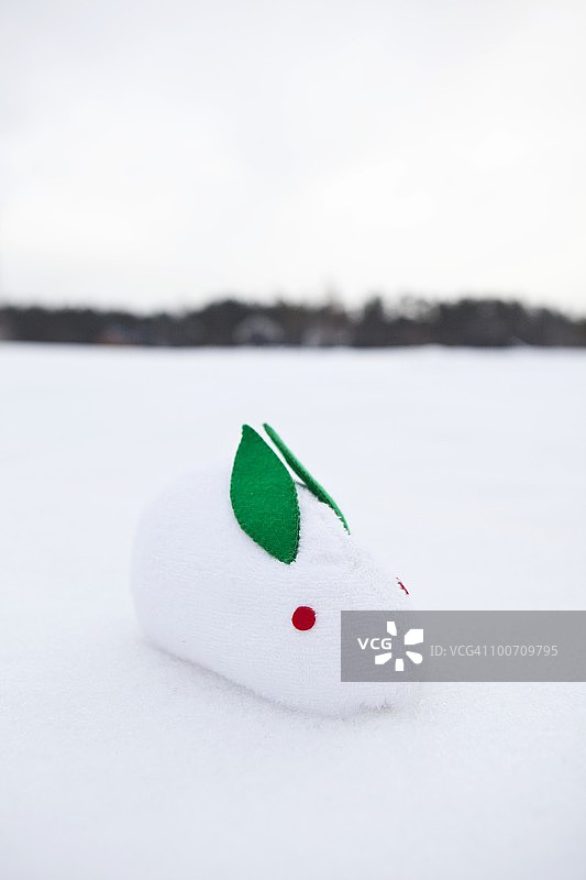 雪地上的兔子图片素材