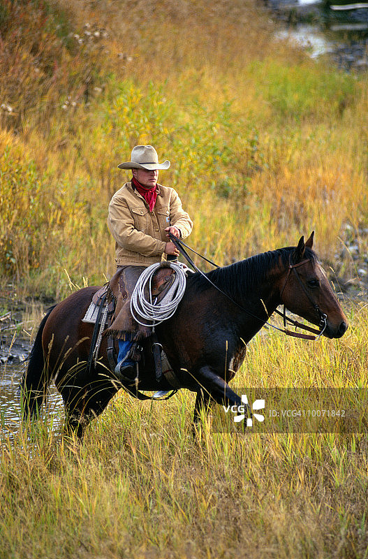 加拿大不列颠哥伦比亚省的道格拉斯湖牧场图片素材