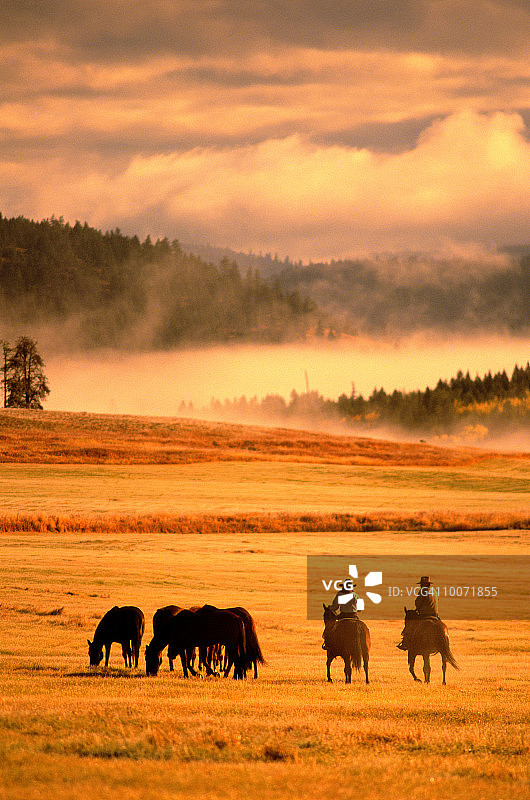加拿大不列颠哥伦比亚省的道格拉斯湖牧场图片素材