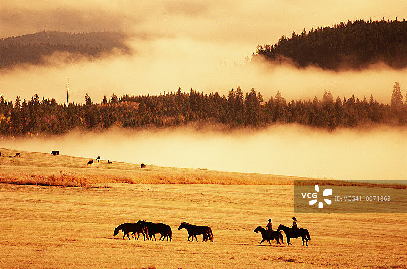 加拿大不列颠哥伦比亚省道格拉斯湖牧场图片素材