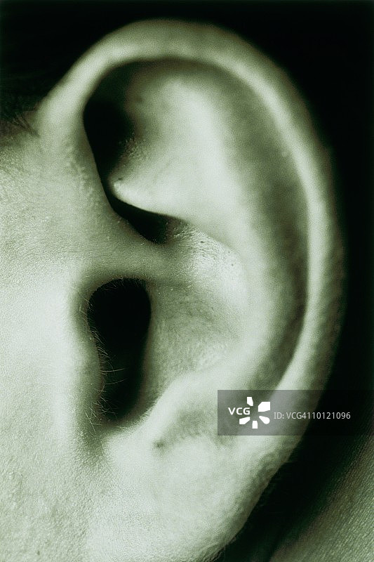 男人的耳朵图片素材