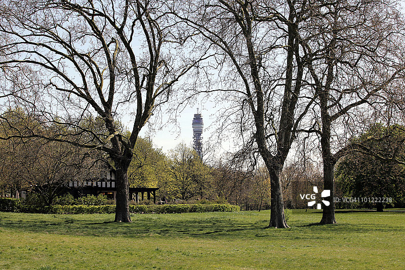 公园里的城市图片素材