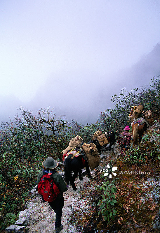 不丹的徒步旅行者和驮马图片素材