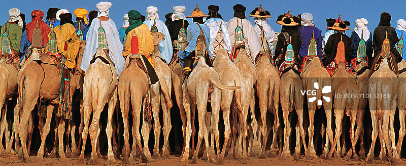 尼日尔的骆驼背影图片素材