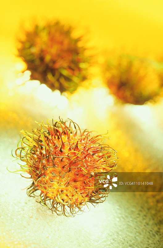 红毛丹美食，选择性聚焦图片素材