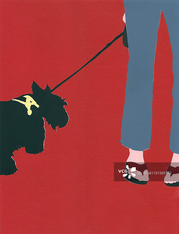 女人牵着苏格兰梗犬散步图片素材