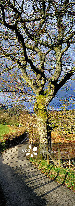 英国威尔士莫德威迪纳斯附近的乡村小路图片素材