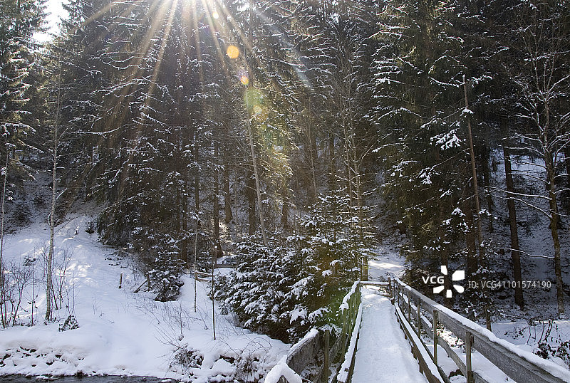 雪天里的阳光图片素材