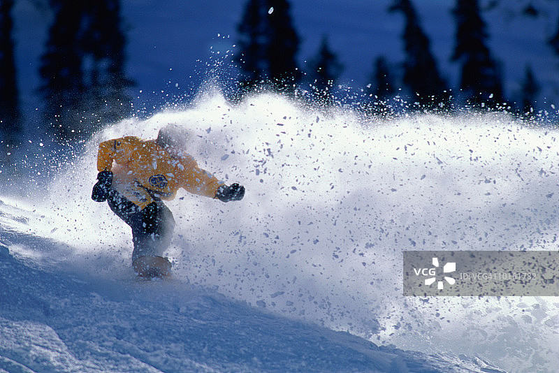 犹他州雪鸟滑雪图片素材
