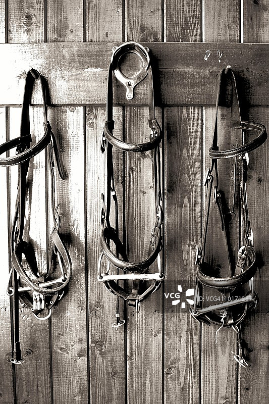 爱尔兰的笼头和马厩图片素材