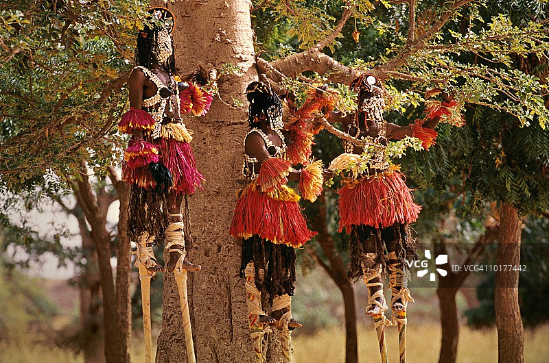 马里的多贡族踩高跷舞者图片素材