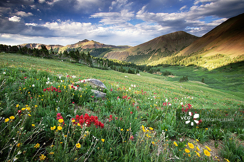科罗拉多州森林景观图片素材