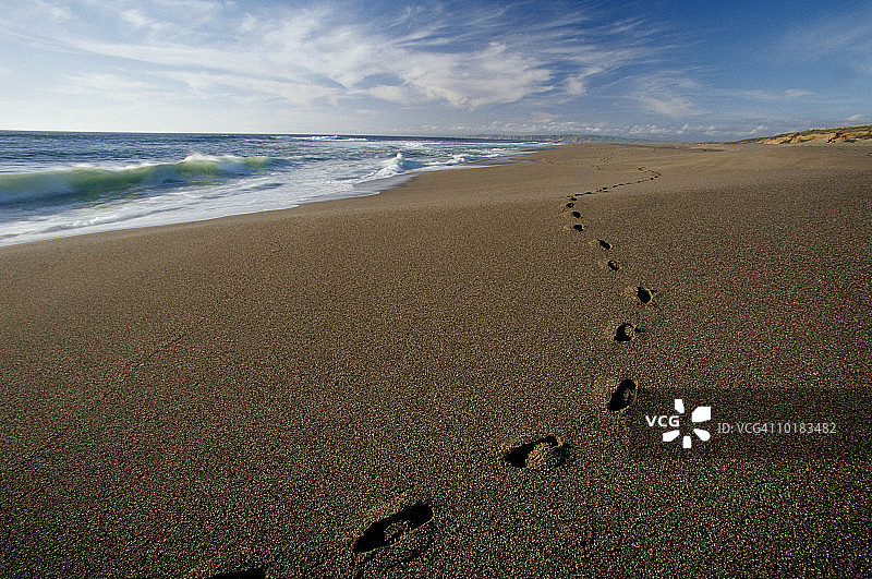 加利福尼亚沙滩上的脚印图片素材