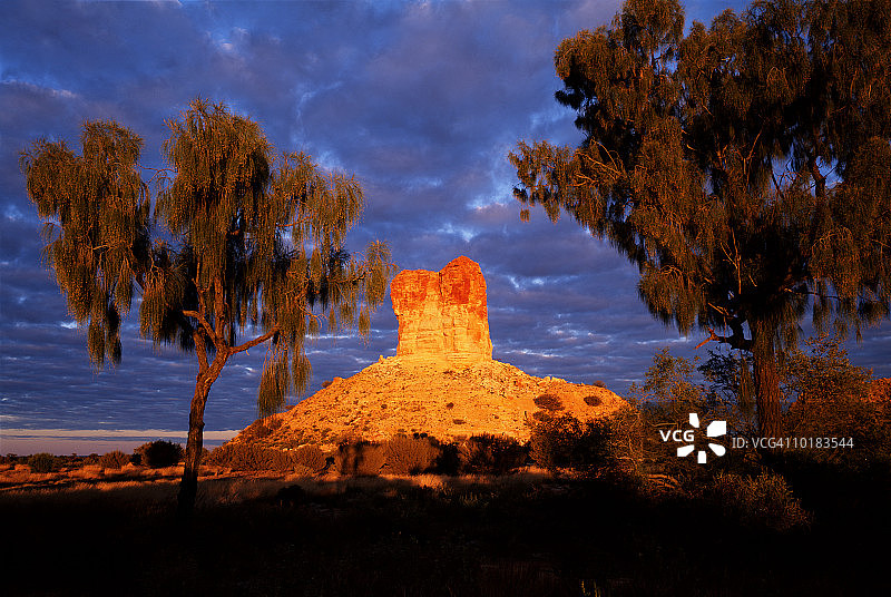 辛普森沙漠北部地区的钱伯斯石柱和沙漠橡树日出图片素材