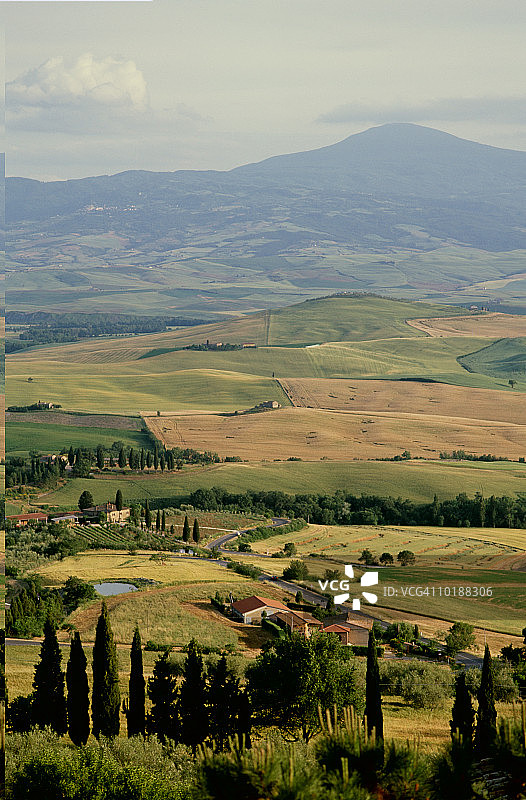 意大利托斯卡纳的柏树图片素材