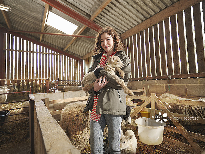 小女孩抱着小羊羔图片素材
