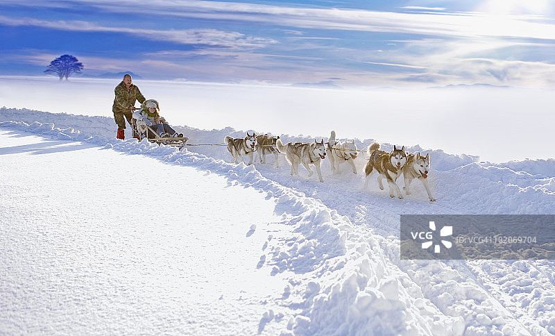 狗拉雪橇图片素材