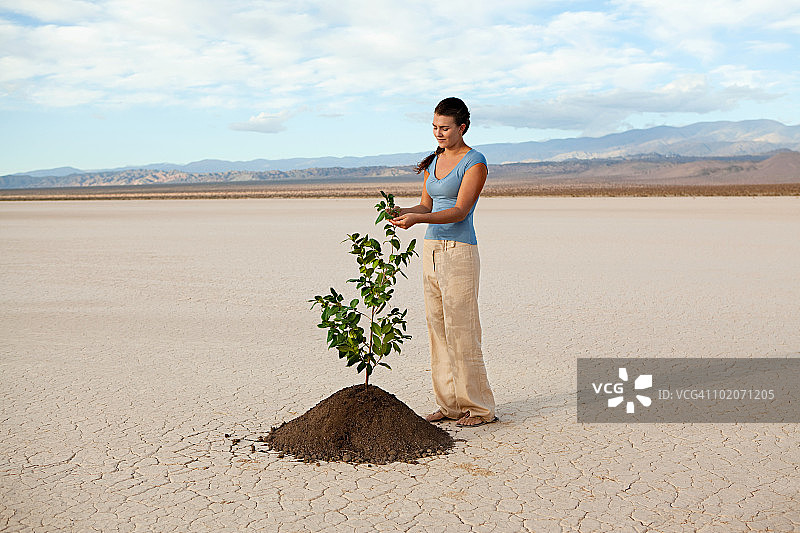 沙漠景观中手持植物的女人图片素材