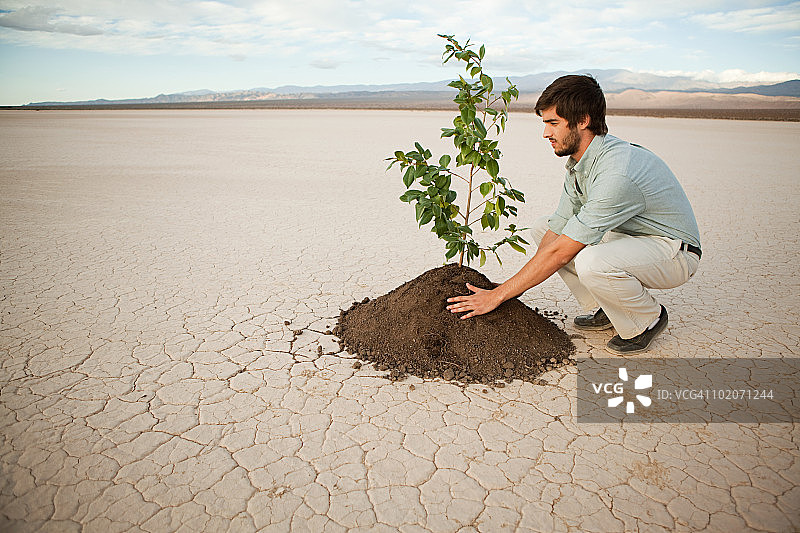 男人在沙漠景观中种植植物图片素材