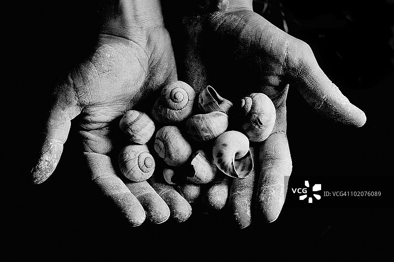 乌克兰克里米亚：手捧蜗牛壳图片素材