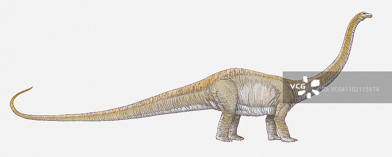 双脊龙恐龙插画图片素材