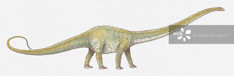 异特龙插画图片素材