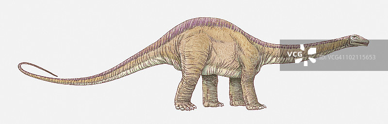 艾伯塔龙恐龙插画图片素材
