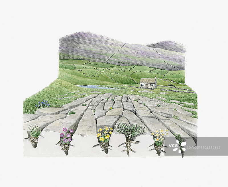 爱尔兰克莱尔郡布伦风景插画图片素材