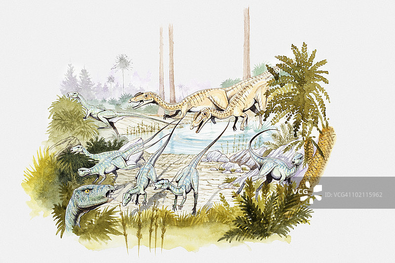 侏罗纪时期异齿龙（鸟脚类恐龙）在水坑边逃离角鼻龙（兽脚类恐龙）的场景插画图片素材