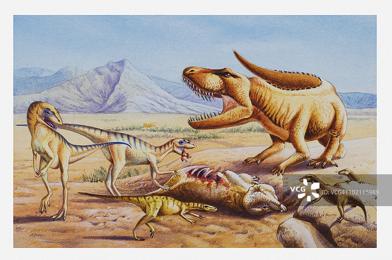 史前动物捕食喙头龙插画图片素材