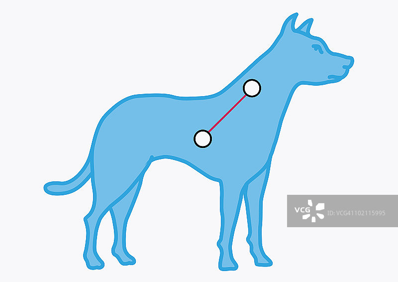 小犬座星座（小狗形象）插画图片素材