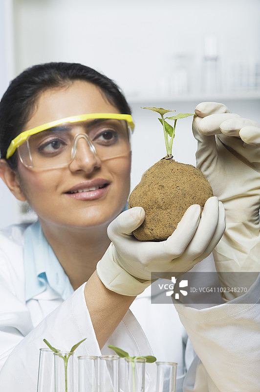 科学家检查植物图片素材