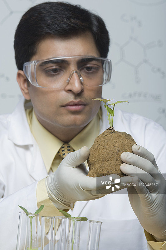 科学家检查植物图片素材
