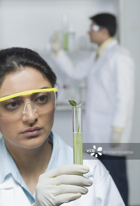 手持试管植物的科学家图片素材