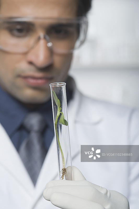 科学家在试管中检查植物图片素材