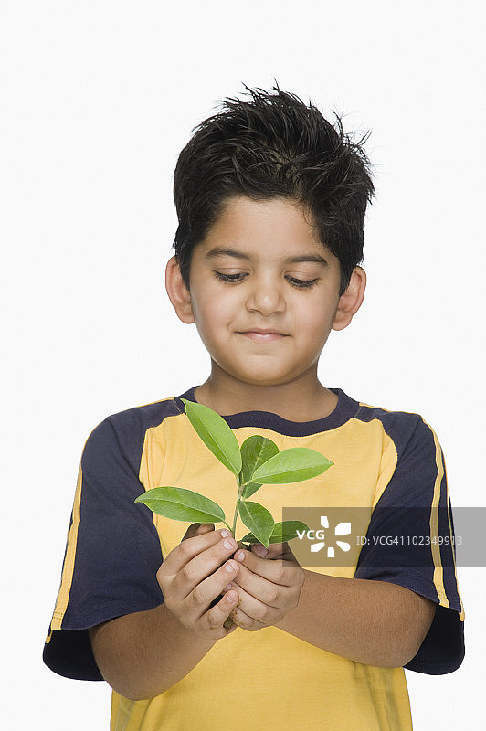 拿着植物的男孩的特写图片素材
