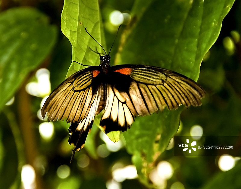 像灯笼一样发光图片素材