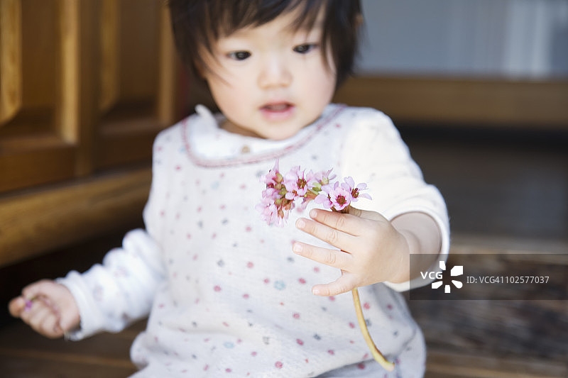 宝宝拿着鲜花图片素材
